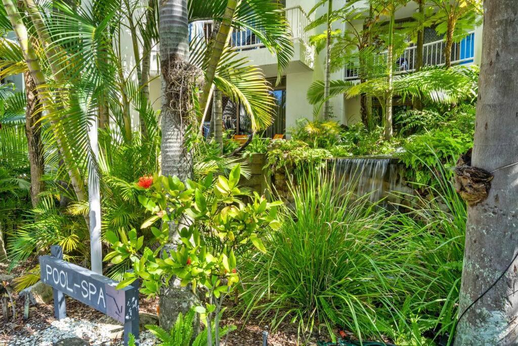 Coco Bella Dream In Surfers Paradise Gold Coast Esterno foto